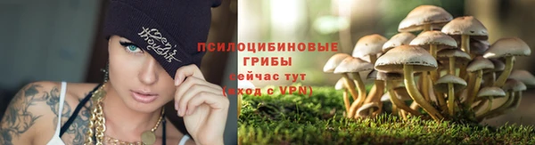 гашик Бронницы