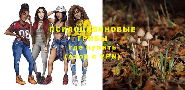 гашик Бронницы