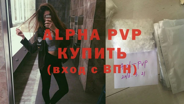 стафф Бородино